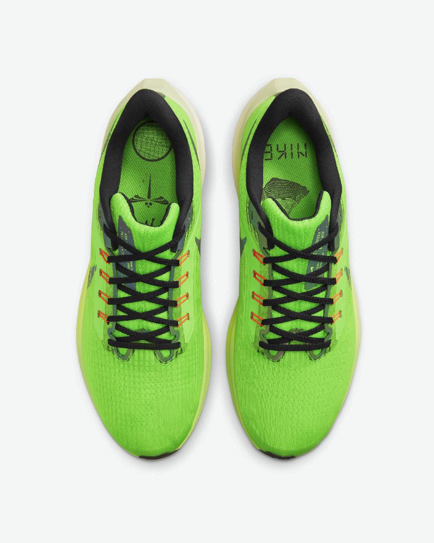 Nike Pegasus 39 M au meilleur prix