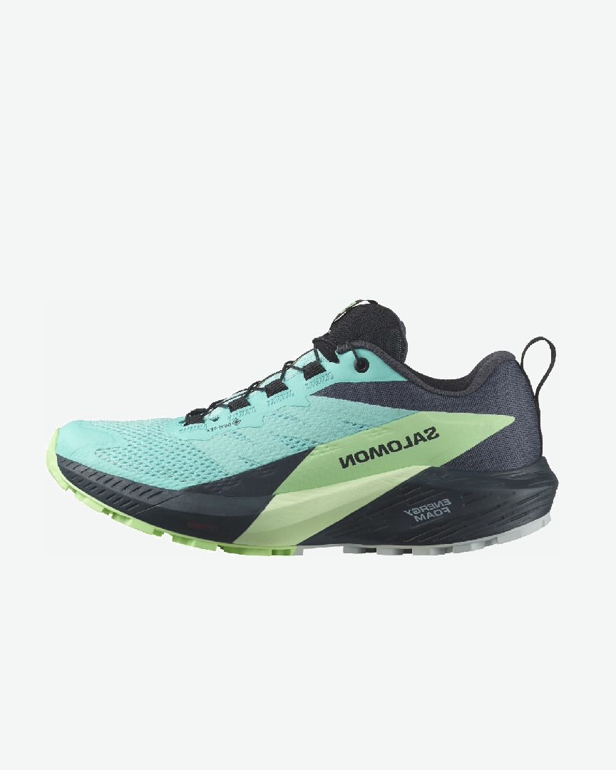 Chaussures Running / Trail Femme Salomon Sense Ride 5